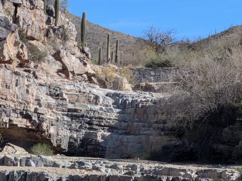 Saguaro National Park-图森必去景点