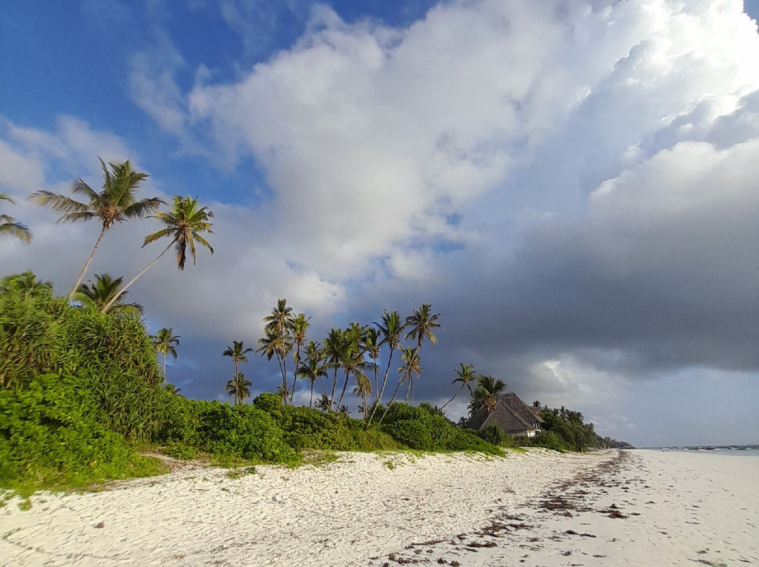 Senga Zanzibar Tours-Matemwe必去景点
