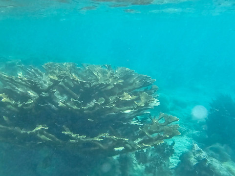 Bonaire National Marine Park-Kralendijk必去景点