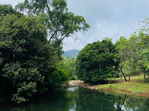 Horizon Finder-Vythiri必去景点