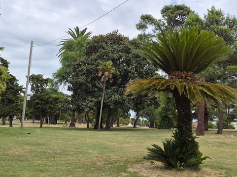 Parque General San Martin-Pehuajo必去景点