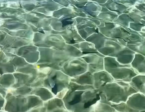 Olheiro Spring-Pureza必去景点