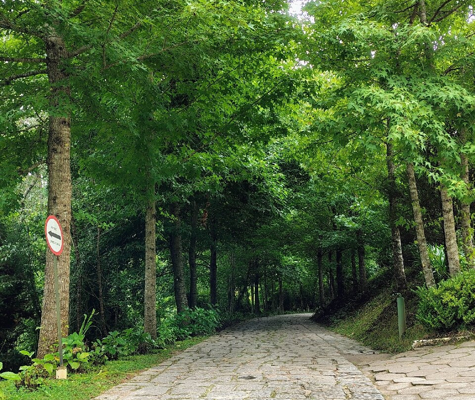 Mosteiro de São João-坎普斯－杜若尔当必去景点