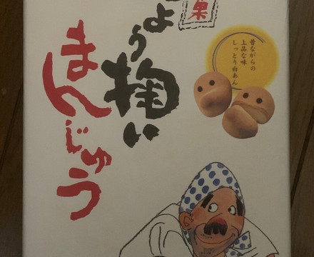 Shamine Matsue-松江市必去景点