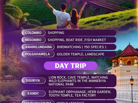 Leela Tours And Shop