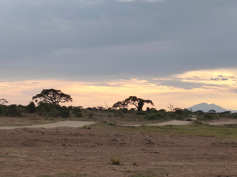Safari In Kenya Con Samba-瓦塔木必去景点