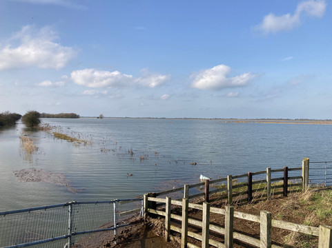 Nene Washes-Whittlesey必去景点