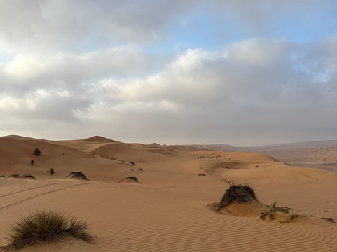 Muscat Nature Tours - Day Tours-马斯喀特必去景点