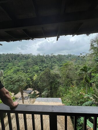 空中花园南迪尼丛林酒店主图