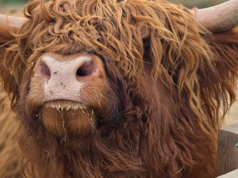 Quex Park-Birchington必去景点