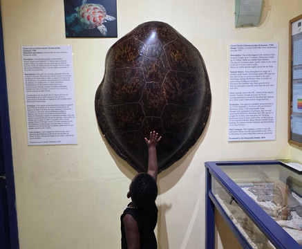 Francois Leguat Reserve-罗德里格斯岛必去景点