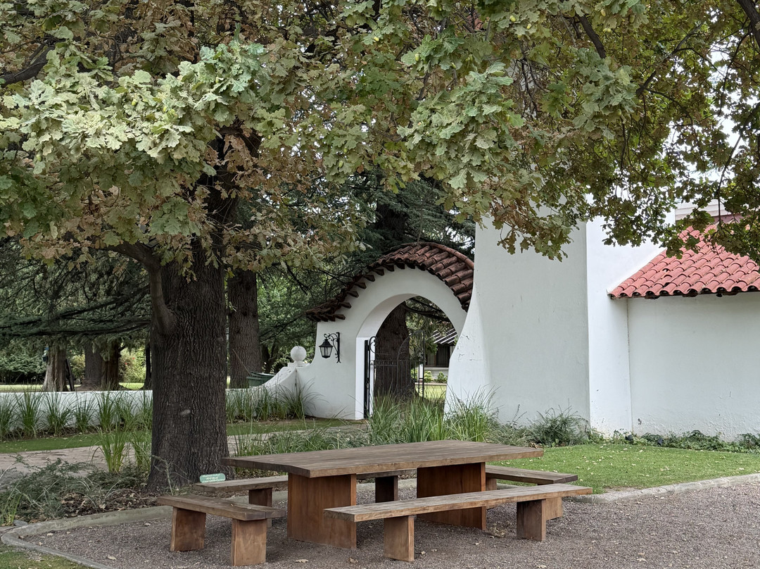 Bodega Nieto Senetiner-路冉得库约必去景点