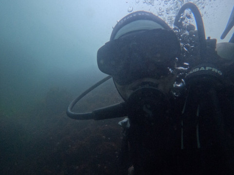 Bravamar Diving Center-Algarrobo必去景点