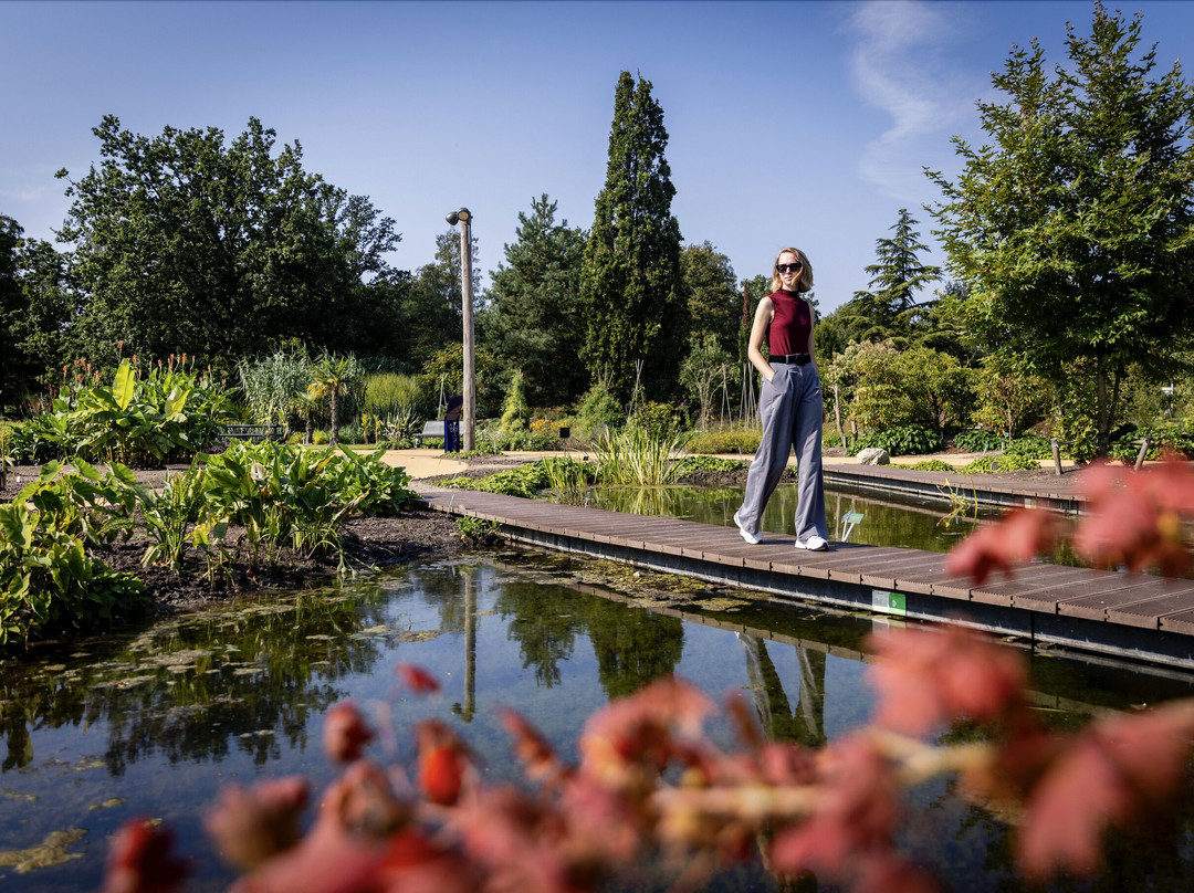 Utrecht University Botanic Gardens-乌特勒支必去景点