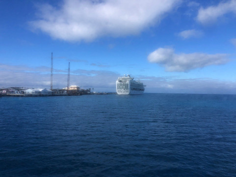 Sea Express Ferry Service-汉密尔顿必去景点