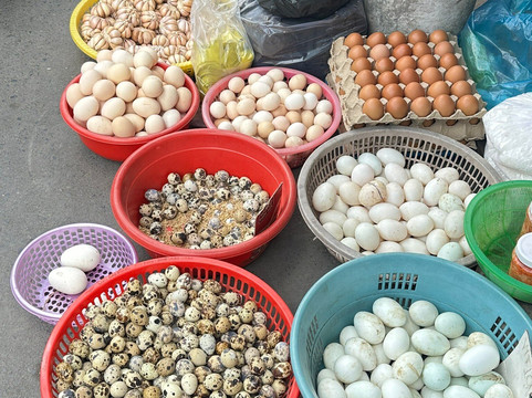 Mango Cruises-胡志明市必去景点