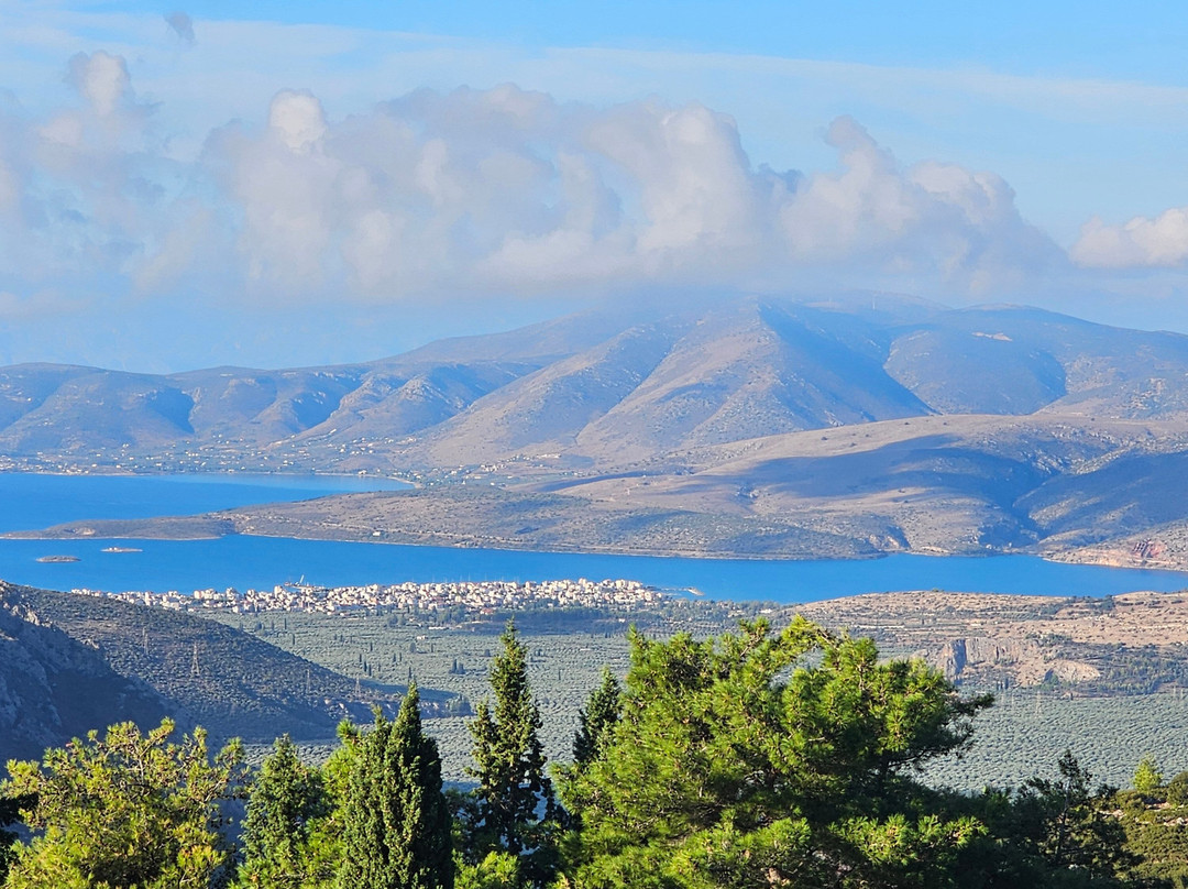 德尔菲阿玛利亚酒店主图