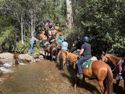 Watson's Mountain Country Trail Rides - Day Tours-曼斯菲尔德必去景点