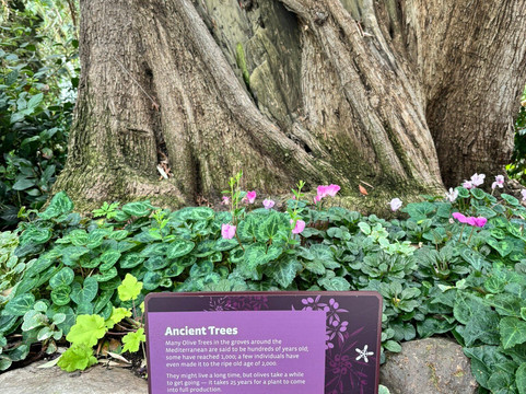 My Singapore Holiday-新加坡必去景点