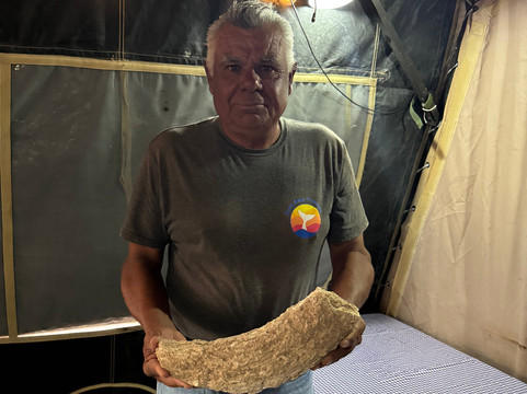 Pure Baja Travels-San Ignacio必去景点