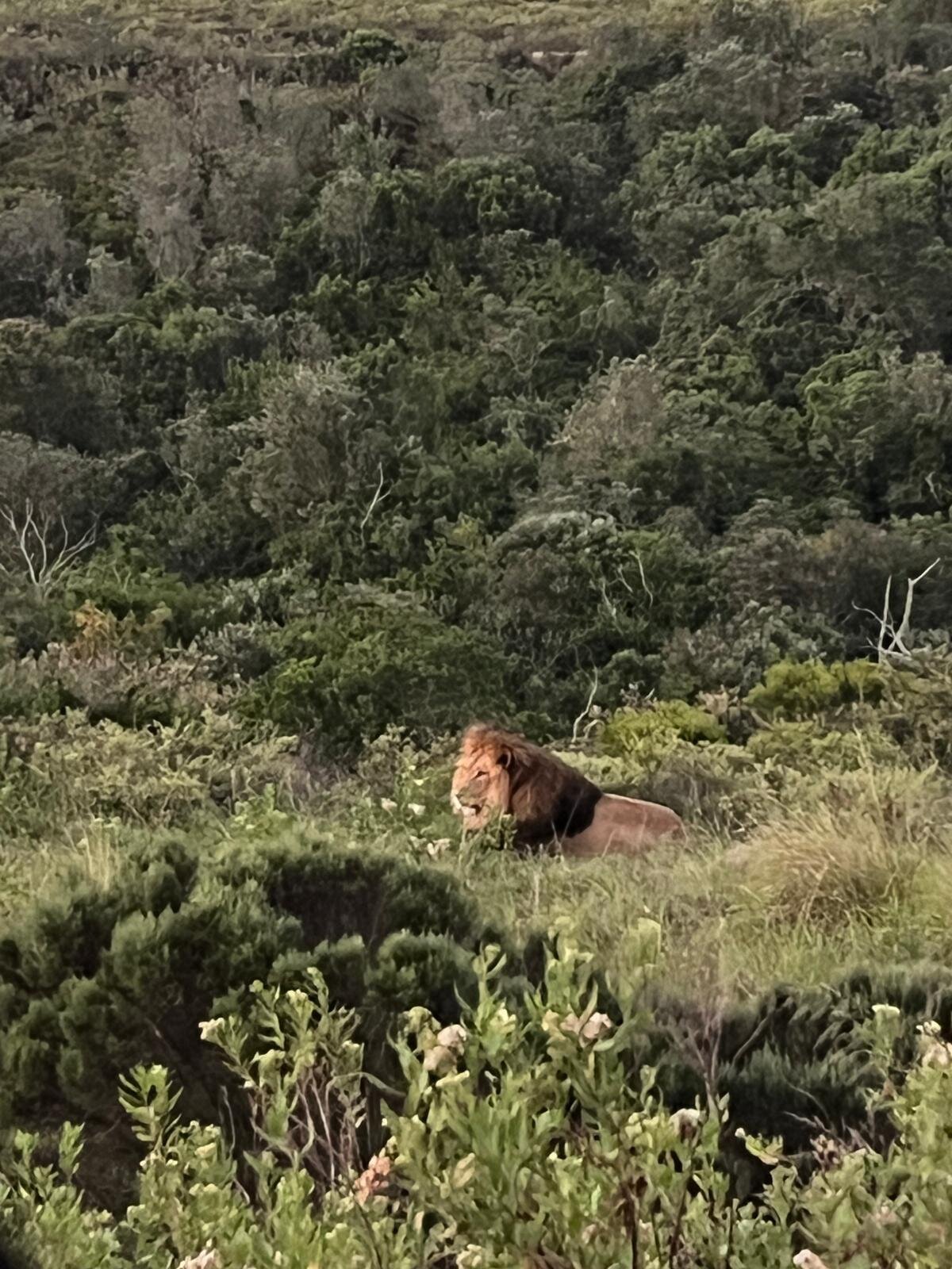 波特利斯科普私人猎区酒店-官方