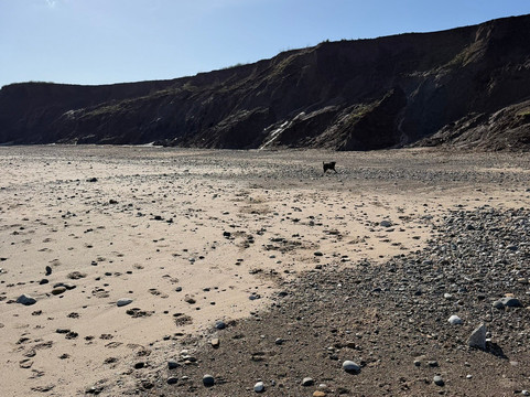 Mappleton Beach-Mappleton必去景点