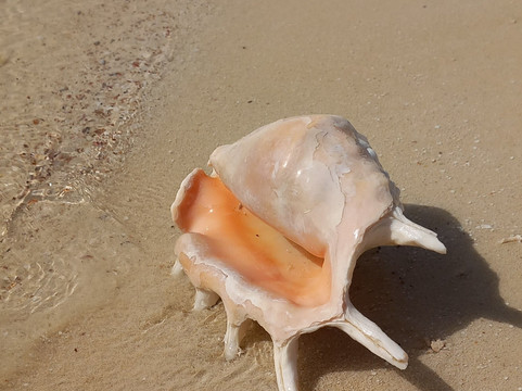 Wadi El Gemal National Park-马萨阿拉姆必去景点