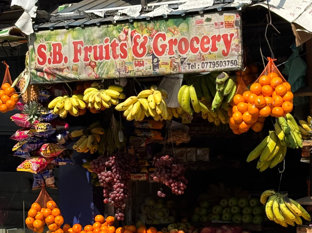 Travel Zeylan-科伦坡必去景点