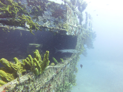 Scubaqua Dive Center-圣尤斯泰希厄斯岛必去景点