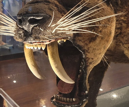 Museu Catavento-圣保罗必去景点