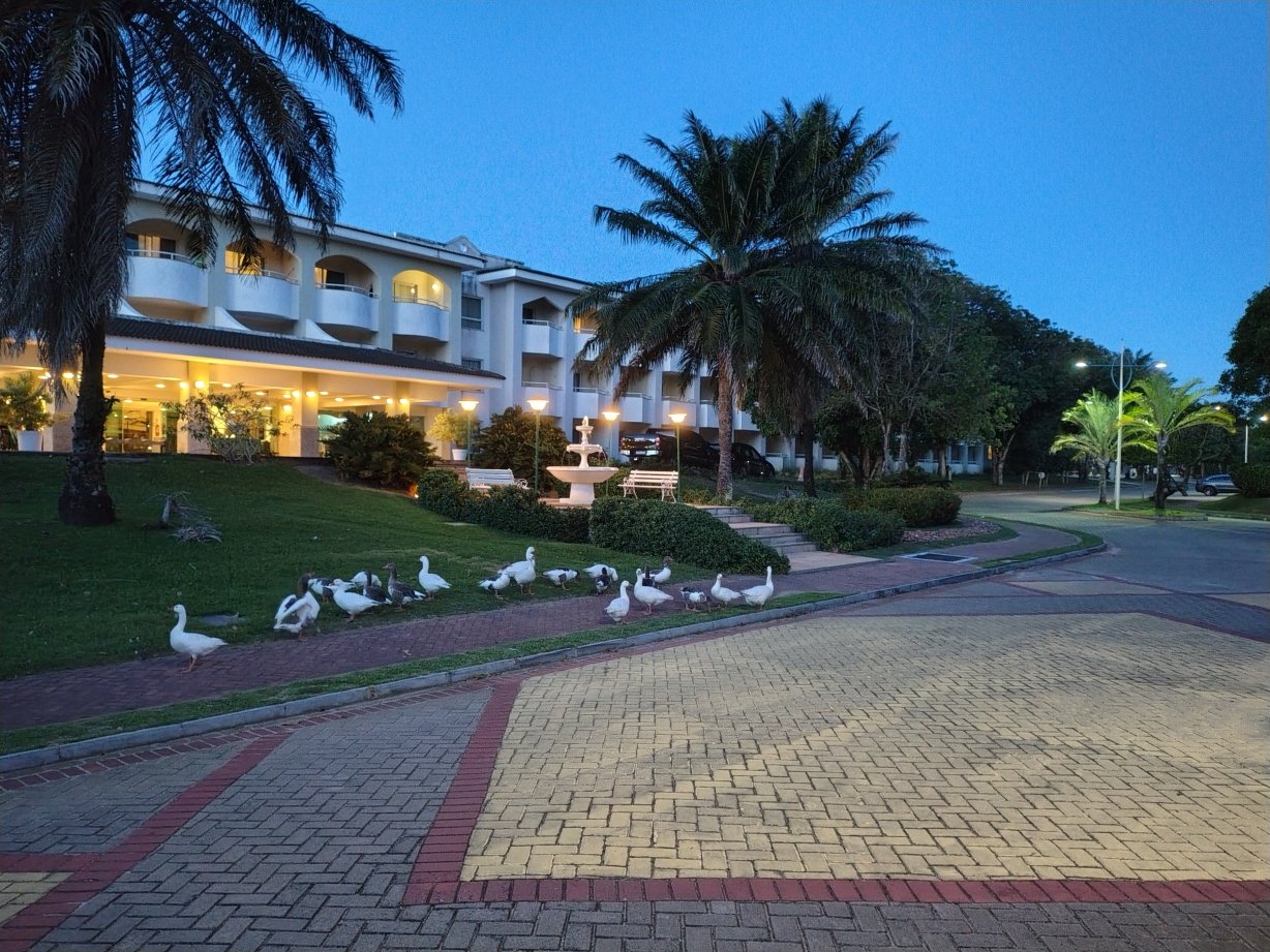 巴伊亚广场酒店-官方