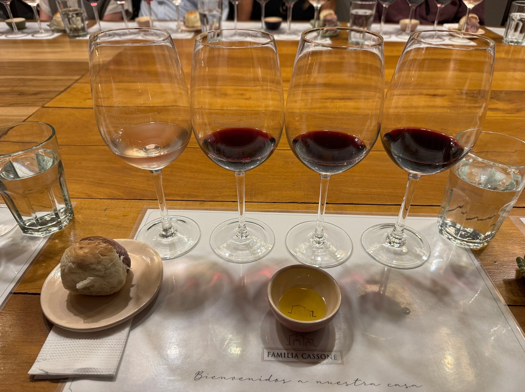 Be Wine Tours-门多萨必去景点