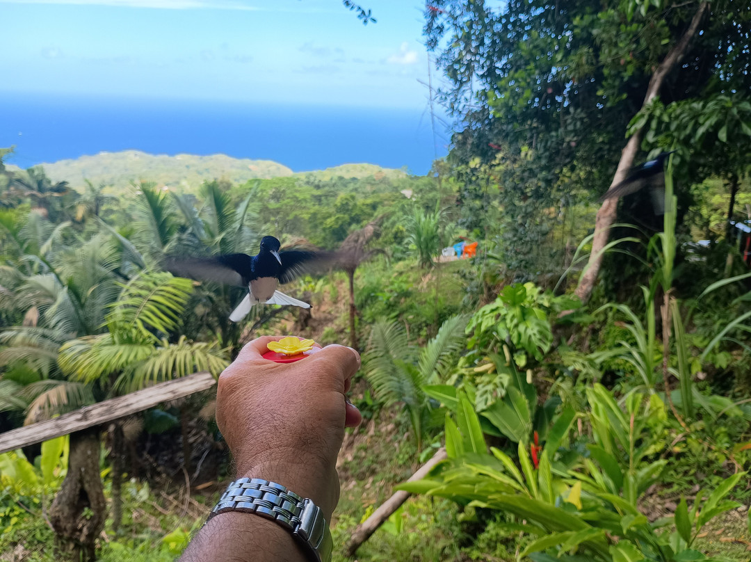 Hans Tours-斯卡伯勒必去景点