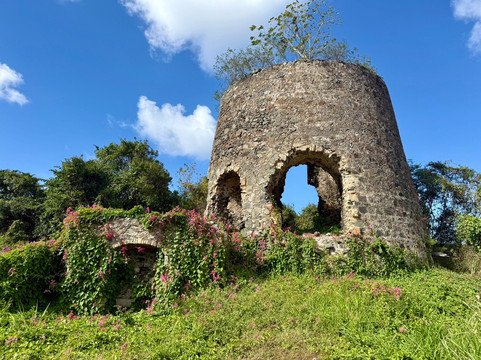 Carambola Zip Line-Frederiksted必去景点