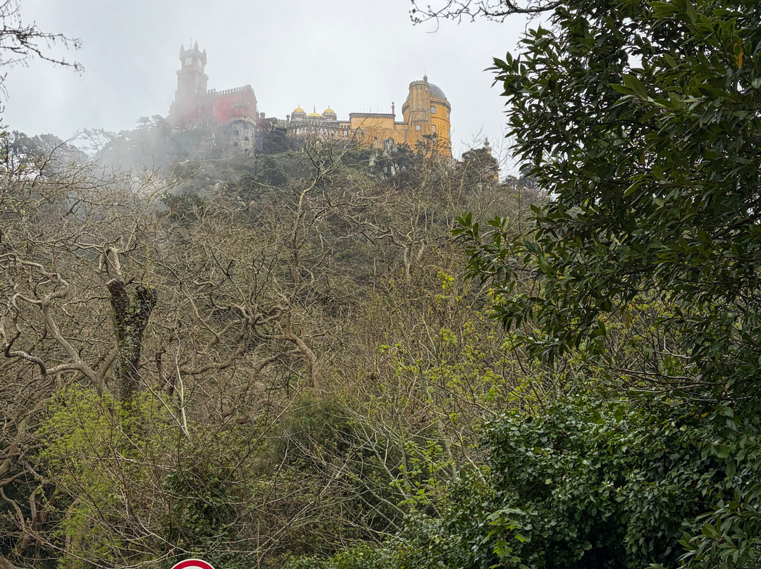 Sintra Lovers-辛特拉必去景点