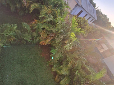 Retire in Panama Tours | Move to Panama | Panama Relocation Experts-波魁特必去景点