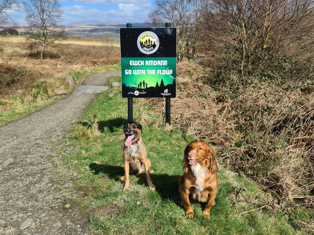 Dare Valley Country Park-Aberdare必去景点