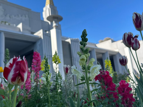 Oakland Temple Visitors' Center-奥克兰必去景点