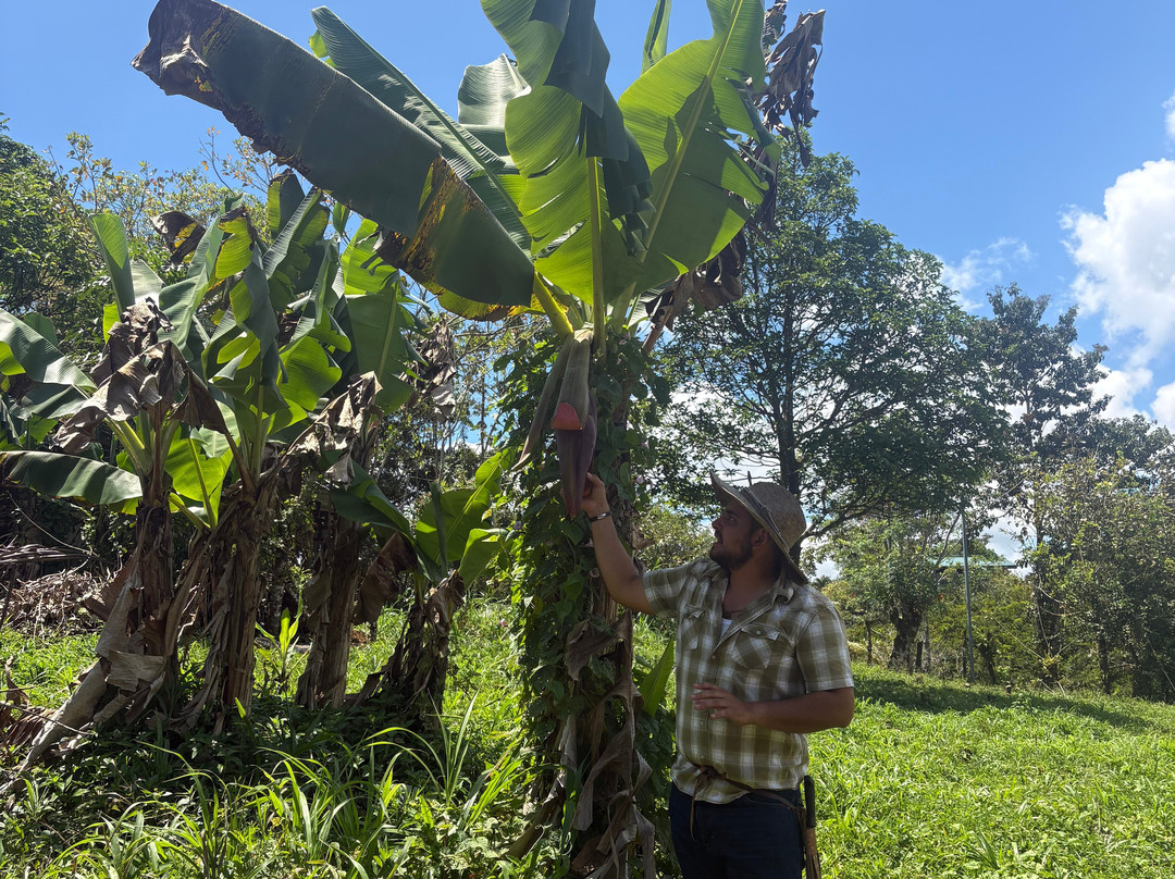 Finca Ecoorganica Sarapiqui-La Virgen必去景点