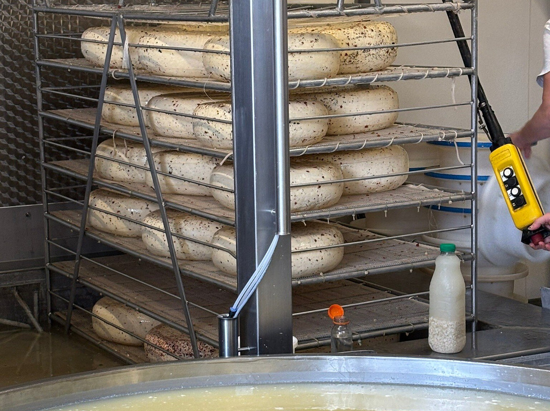 Kaas- En Zuivelboerderij Kuiper-Giessenburg必去景点