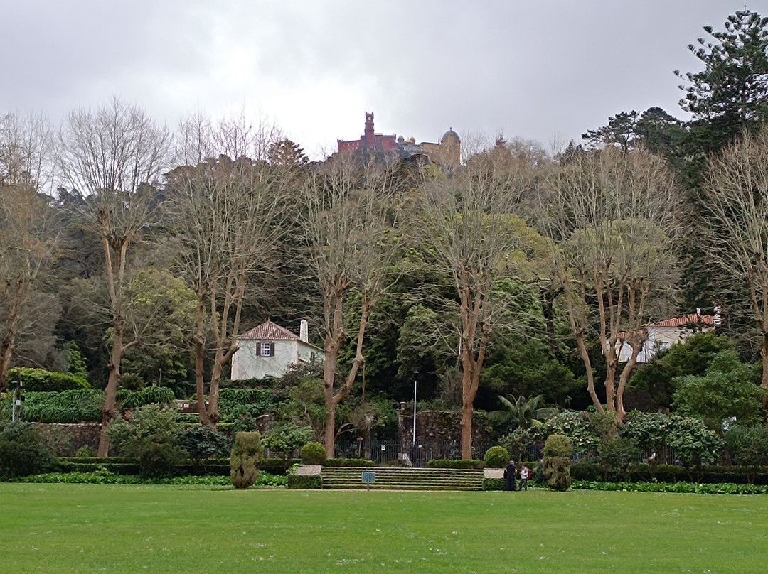 Living Tours Lisbon-里斯本必去景点