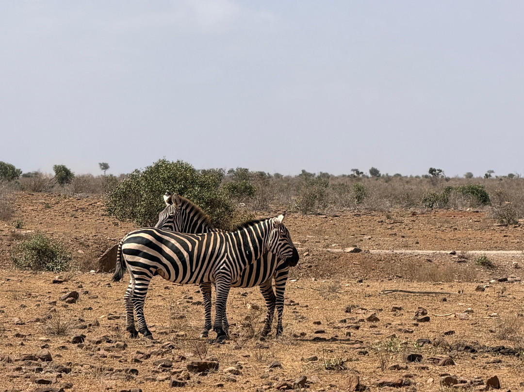Click Safari Kenya-瓦塔木必去景点