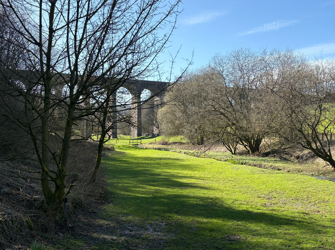 Lime Tree Park