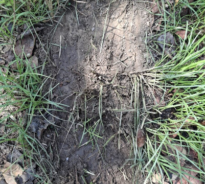 Wild Trails Nepal-Thakurdwara必去景点