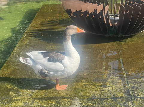 Vinícola Amana-Espirito Santo Do Pinhal必去景点