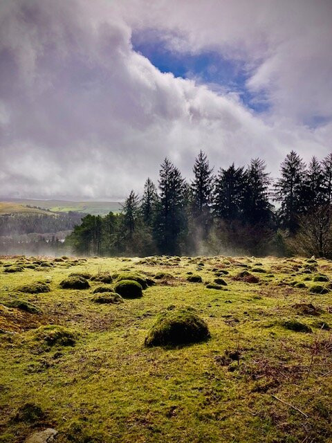 Dartmoor's Daughter-达特穆尔国家公园必去景点