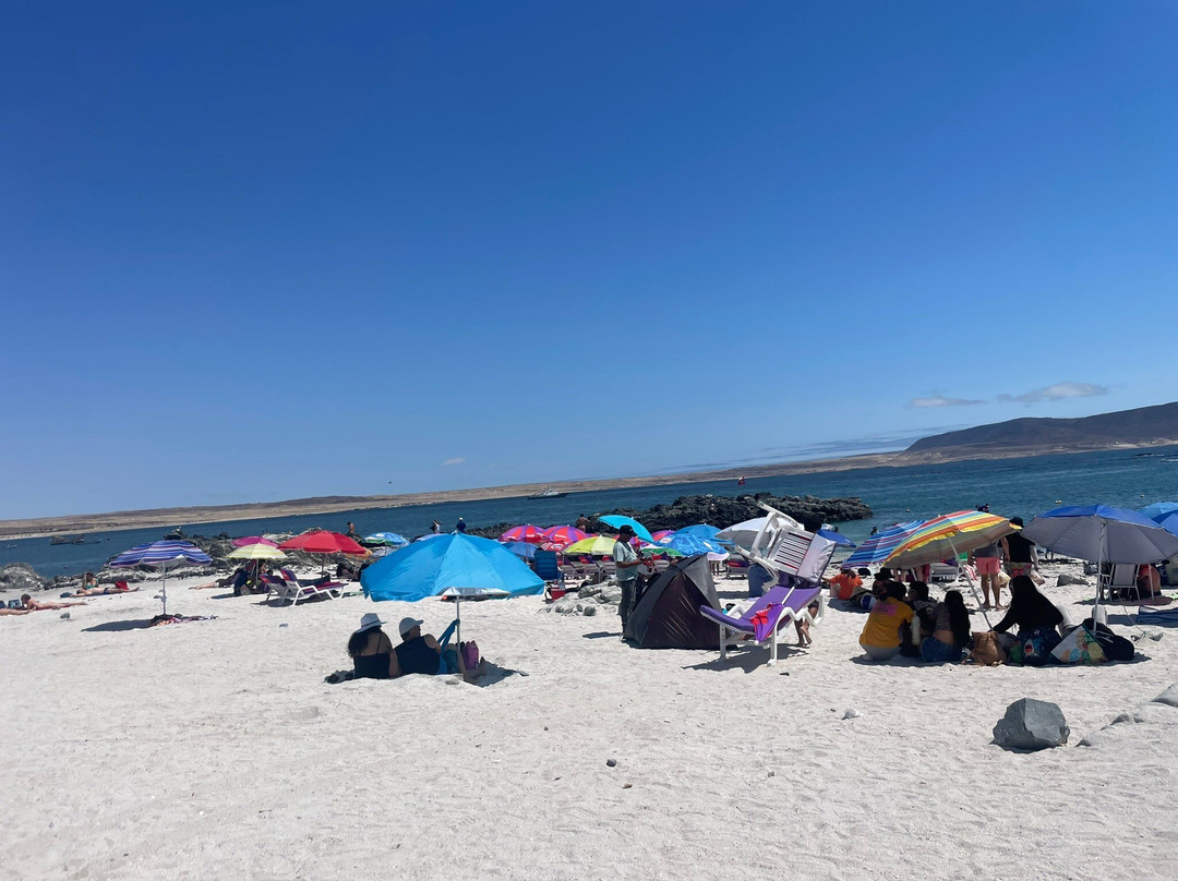 Bahia Inglesa-Copiapo必去景点