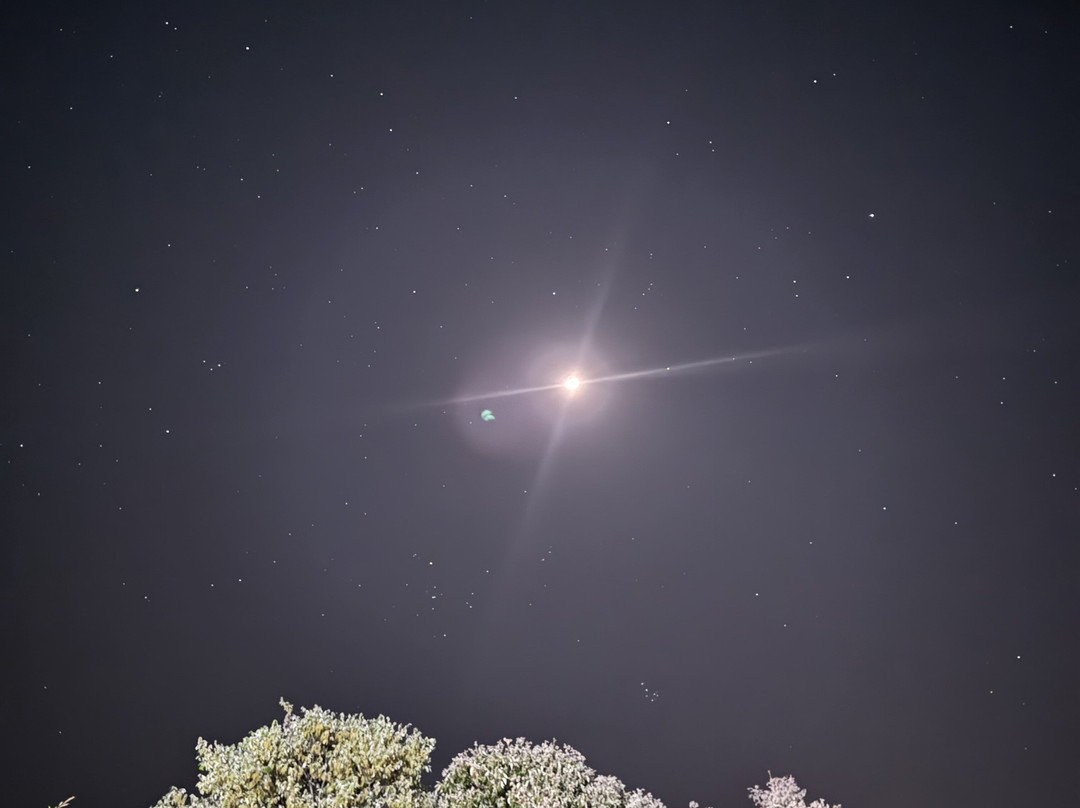 Dharohar Retreat主图