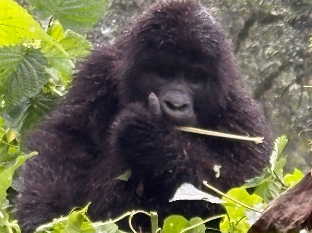 RAW Africa Eco Tours-威廉斯镇必去景点