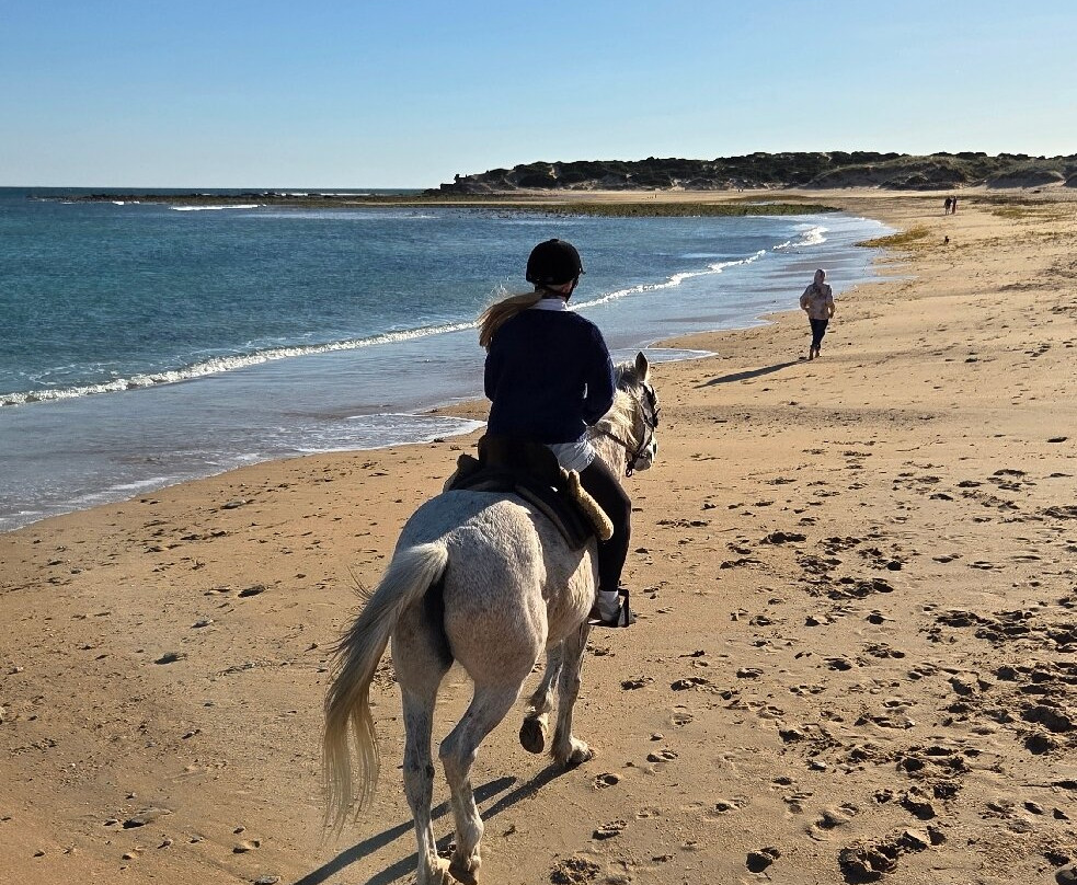 Centro Hipico Zahora-Zahora必去景点